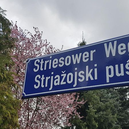 2 Raum Gartenwohnung Am Spreewaldradweg In 科特布斯 外观 照片